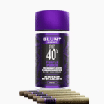 STIIIZY - PURPLE PUNCH - .5G 40's Infused Mini Blunt 5 Pack